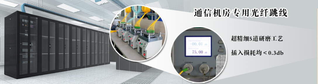 LC/UPC-LC/UPC单模双芯光纤 4